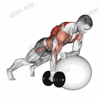 Dumbbell Renegade Row on Stability Ball exercise targeting Waist