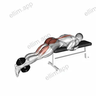 Dumbbell Reverse Hyperextension on Bench exercise targeting Hips