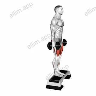 Dumbbell Reverse Lunge from Deficit exercise targeting Thighs