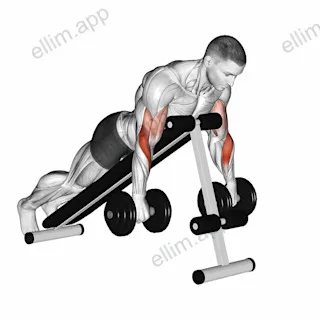 Dumbbell Reverse Spider Curl exercise targeting Upper Arms