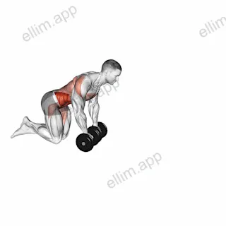Dumbbell Rollout exercise targeting Waist and Iliopsoas