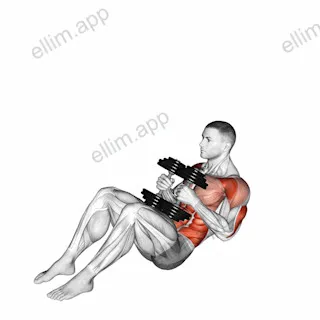 Dumbbell Russian Twist Close Grip Shoulder Press Sit-up exercise targeting Waist