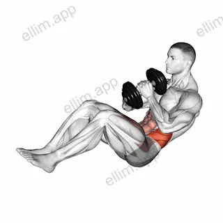 Dumbbell Russian Twist with Legs Floor Off exercise targeting Waist