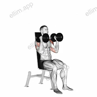 Dumbbell Seated Alternate Press exercise targeting Shoulders and Deltoid Anterior