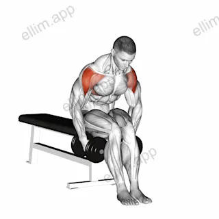 Dumbbell Seated Bent Arm Lateral raise exercise targeting Shoulders and Deltoid Lateral