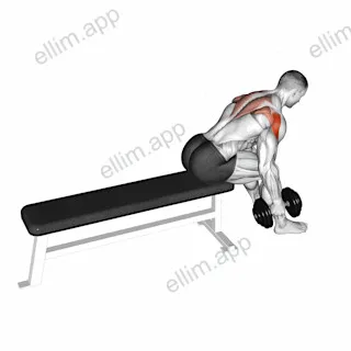 Dumbbell Seated Bent Over Alternate Rear Delt Fly exercise targeting Shoulders