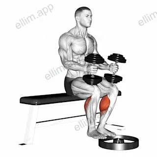Dumbbell Seated Calf Raise exercise targeting Calves and Gastrocnemius