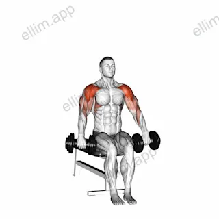Dumbbell Seated Cuban Press exercise targeting Shoulders