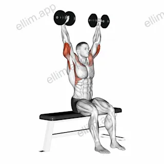 Dumbbell Seated Front and Back Tate Press exercise targeting Upper Arms and Triceps Brachii