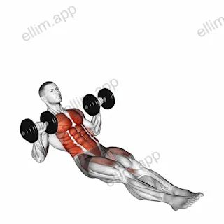 Dumbbell Seated Military Press In Out Leg Raise on Floor exercise targeting Waist