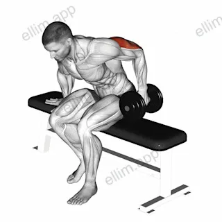 Dumbbell Seated One Arm Kickback exercise targeting Upper Arms and Triceps Brachii