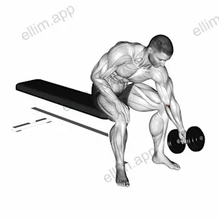 Dumbbell Seated One Arm Rotate exercise targeting Forearms and Wrist Flexors