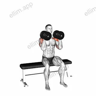 Dumbbell Seated Reverse Arnold Press exercise targeting Shoulders