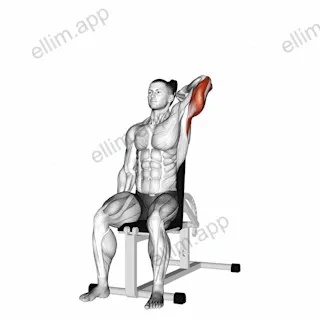 Dumbbell Seated Reverse Grip One Arm Overhead Tricep Extension exercise targeting Upper Arms