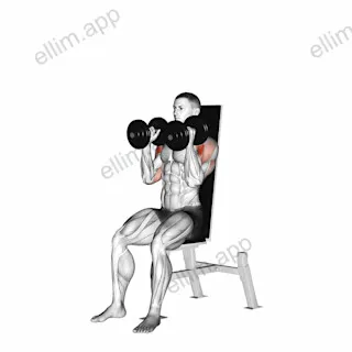 Dumbbell Seated Shoulder Press (parallel grip) exercise targeting Shoulders and Deltoid Anterior