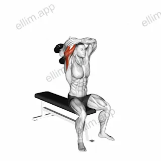 Dumbbell Seated Single Arm Overhead Triceps Extension exercise targeting Upper Arms