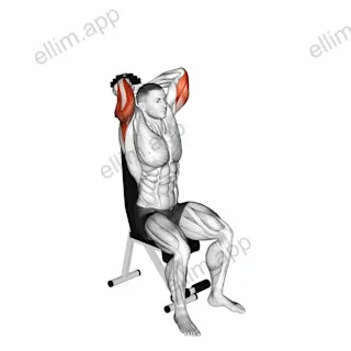 Dumbbell Seated Triceps Extension exercise targeting Upper Arms and Triceps Brachii