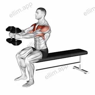 Dumbbell Seated Upright Alternate Squeeze Press exercise targeting Chest and Deltoid Anterior