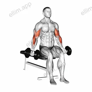 Dumbbell Seated Zottman Curl exercise targeting Upper Arms