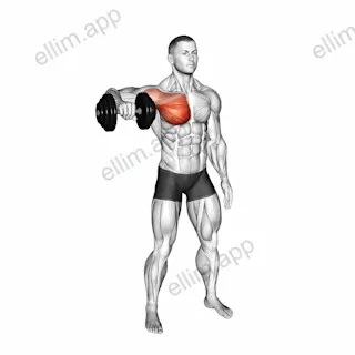 Dumbbell Shoulder Internal Rotation at 90 Abduction exercise targeting Back