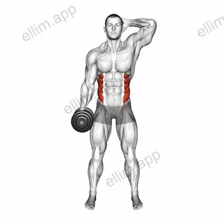 Dumbbell Side Bend exercise targeting Waist and Obliques