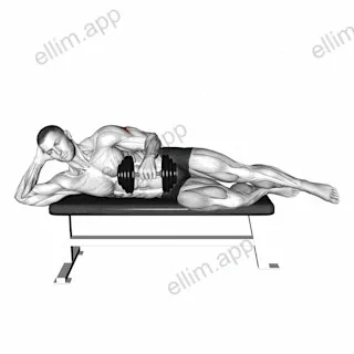 Dumbbell Side Lying External Rotation (on a bench) exercise targeting Back