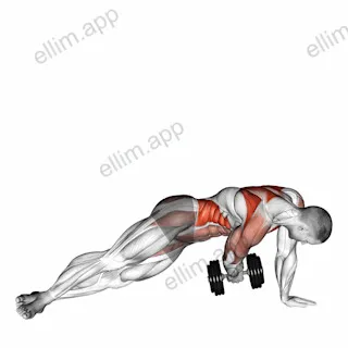 Dumbbell Side Plank with Rear Fly exercise targeting Waist and Infraspinatus