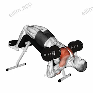 Dumbbell Single Arm Alternate Decline Bench Press exercise targeting Chest and Pectoralis Major Sternal Head