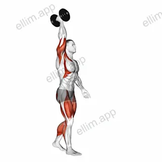 Dumbbell Single Arm Overhead Carry exercise targeting Shoulders and Thighs