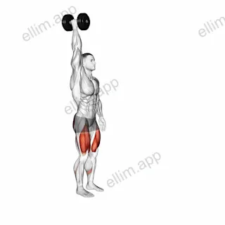 Dumbbell Single Arm Overhead Lunge exercise targeting Thighs and Gluteus Maximus
