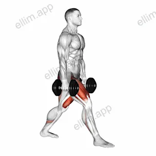 Dumbbell Split Squat exercise targeting Thighs and Gluteus Maximus
