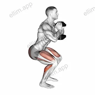 Dumbbell Squat Hold Calf Raise exercise targeting Calves and Hips