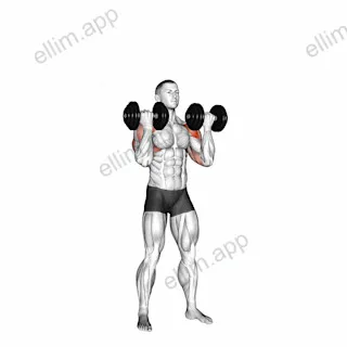 Dumbbell Standing Alternate Arnold Press exercise targeting Shoulders