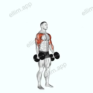 Dumbbell Standing Alternate Hammer Curl and Press exercise targeting Biceps Brachii and Brachialis