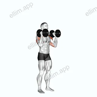 Dumbbell Standing Alternate Overhead Press exercise targeting Shoulders and Deltoid Anterior