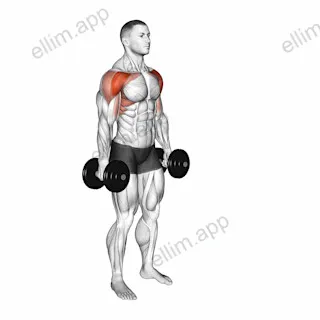 Dumbbell Standing Alternate Vertical Front Raises exercise targeting Shoulders and Deltoid Anterior