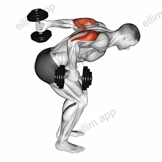 Dumbbell Standing Alternating Tricep Kickback exercise targeting Upper Arms