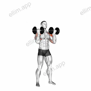 Dumbbell Standing Arnold Press exercise targeting Shoulders and Deltoid Anterior