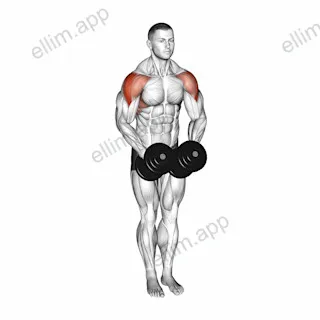 Dumbbell Standing Bent Arm Lateral raise exercise targeting Shoulders