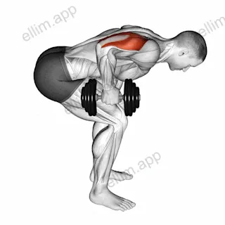 Dumbbell Standing Bent Over One Arm Triceps Extension exercise targeting Upper Arms
