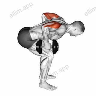 Dumbbell Standing Bent Over Two Arm Triceps Extension exercise targeting Upper Arms