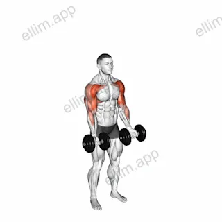Dumbbell Standing Biceps Curl to Shoulder Press exercise targeting Shoulders and Upper Arms