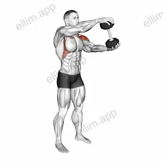 Dumbbell Standing Driver exercise targeting Shoulders