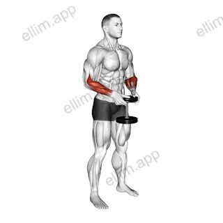 Dumbbell Standing Hands Torsion exercise targeting Forearms and Brachioradialis