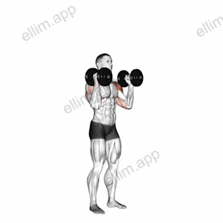 Dumbbell Standing Palms In Press exercise targeting Shoulders and Deltoid Anterior