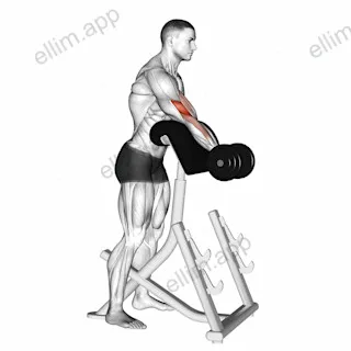 Dumbbell Standing Preacher Curl exercise targeting Upper Arms and Brachialis