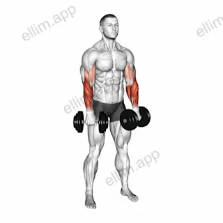Dumbbell Standing Reverse Curl Rotate exercise targeting Forearms and Brachioradialis