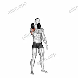Dumbbell Standing Single Arm Arnold Press exercise targeting Shoulders