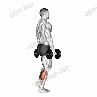 Dumbbell Standing Single Leg Calf Raise exercise targeting Calves and Gastrocnemius