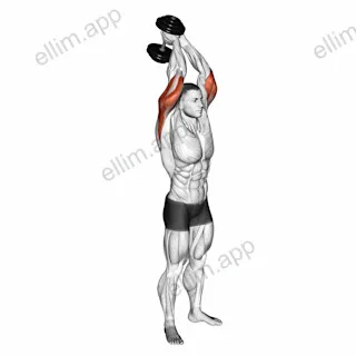 Dumbbell Standing Triceps Extension exercise targeting Upper Arms and Triceps Brachii